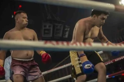 Tumbangkan Aldi Taher, Vicky Prasetyo Menang TKO