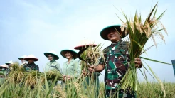 Gerak Cepat Antisipasi Krisis Pangan, KSAD Dudung Ciptakan Lahan Tidur Jadi Lahan Produktif