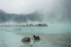 Pesona Wisata Alam Kawah Putih di Kaki Gunung Patuha Bandung