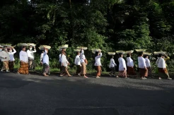 Perayaan Tradisi Adat Seren Taun di Cigugur Kuningan