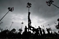 Lomba Panjat Batang Pinang di Jambi