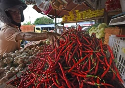 Pasokan Berkurang, Harga Cabai Merah Kembali Naik