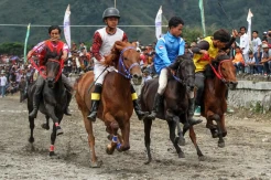 Aksi Joki Cilik di Pacuan Kuda Tradisional
