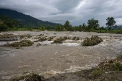 Banjir Rendam Puluhan Rumah dan Ratusan Hektare Lahan Pertanian di Sigi
