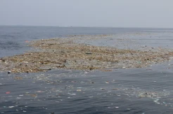 Sampah Laut Cemari Dermaga Utama Pulau Pramuka
