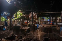 Harga Kedelai Naik Hingga Rp700 Ribu Perkarung, Perajin Tahu Mogok Produksi