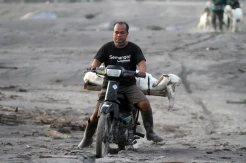 Dampak Awan Panas Guguran Gunung Semeru