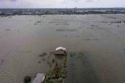 4.306 Hektare Sawah di Demak Terendam Banjir