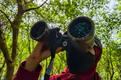 Sensus Burung Air Asia di Taman Mangrove Angke Kapuk