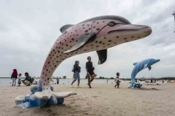 Meriahkan Bulan Kasih Sayang, Taman Impian Jaya Ancol Bagikan 20 Ribu Tiket Gratis