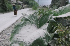 Abu Vulkanis Erupsi Gunung Merapi Selimuti Permukiman Warga