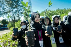 Penanaman 500 Bibit Mangrove di Pulau Pramuka