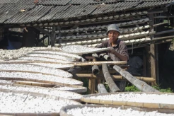 Mengintip Aktivitas Industri Rumahan Tepung Aci di Kampung Pisang Bogor