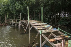 Ekowisata Mangrove di Jeneponto Terbengkalai