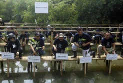Aksi Kolaboratif Restorasi Mangrove untuk Jakarta