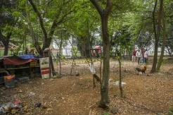 Diduga Jadi Lokasi Ngumpul...