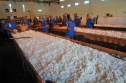 Persiapan Tradisi Membagi Nasi Jangkrik di Kudus