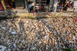 Duh! Sampah Menumpuk di Kali Krukut Depok