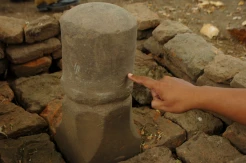 Tebang Pohon, Warga Temukan Benda Purbakala Lingga Berukir di Tegal