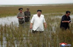 Potret Blusukan Kim Jong Un, Cek Langsung Padi Usai Pyongan Selatan Diterjang Banjir