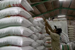 Harga Beras Naik, Pemerintah Tambah Alokasi Anggaran Pupuk Subsidi Sebesar Rp14 Triliun