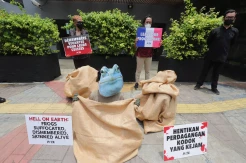 Aksi Tolak Impor Daging Kodok di Kedubes Prancis