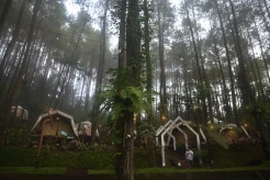 Menikmati Pesona Alam di DeLoano Glamping, Kawasan Hutan Pinus di Ketinggian 850 MDPL