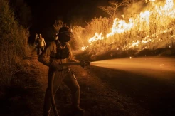 Kebakaran Hutan Meksiko Tewaskan Empat Warga