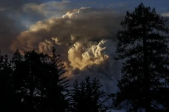 Kebakaran Dahsyat Hanguskan 170.000 Hektar Hutan di California