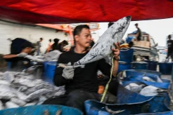 Produksi Perikanan Tangkap Capai 5 Juta Ton Per Triwulan III 2024
