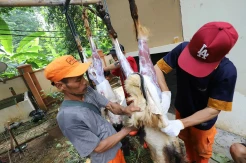 Indofood Berikan Bantuan Hewan Kurban Idul Adha 2025