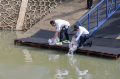 Wamen LH Lepas Ikan di Festival Sungai Cipinang 2025