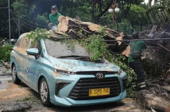 Hujan dan Angin Kencang, Pohon Roboh Timpa Taksi di Jakarta Pusat