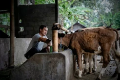 13 Tahun Rumah Energi : Merayakan Indonesia yang Lebih Berdaya