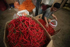 Harga Cabai Meroket Jelang Idul Adha