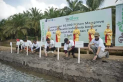 Tanam 60.000 Mangrove, Nestle Indonesia Dukung Restorasi Pesisir Paser