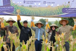 Panen Raya Jagung Hibrida Dekalb Perkuat Upaya Ketahanan Pangan Nasional