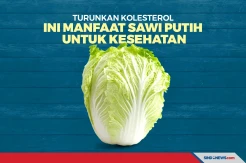 Turunkan Kolesterol, Ini Manfaat Sawi Putih untuk Kesehatan