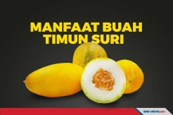 Favorit Saat Berbuka Puasa, Ini Manfaat Buah Timun suri