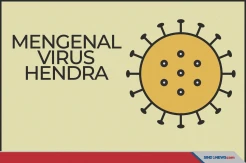 Tetap Tenang dan Waspada, Begini Asal-usul Virus Hendra