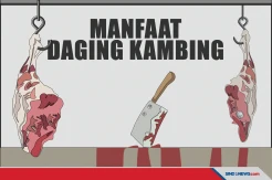 Tak Usah Takut Kolesterol, Ini Manfaat Makan Daging Kambing