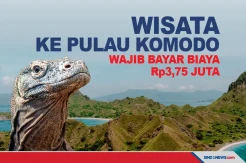 Pengunjung Pulau Komodo Wajib Bayar Biaya Konservasi Rp3,75 Juta