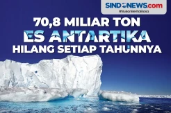 70,8 Miliar Ton ES Antartika Hilang Setiap Tahunnya