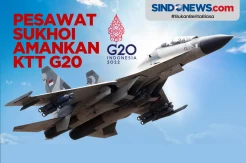 Jet Tempur Sukhoi Su-27 dan Su-30 Amankan KTT G20 Bali