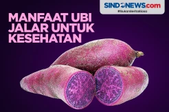 5 Manfaat Ubi Jalar, Salah Satunya Kurangi Kolesterol Tinggi