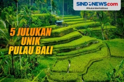Surga Wisata Masyhur di Dunia, ini 5 Julukan Unik Pulau Bali