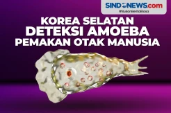 Korea Selatan Deteksi Amoeba Pemakan Otak Manusia