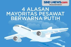 Ini 4 Alasan Mengapa Mayoritas Pesawat Berwarna Putih