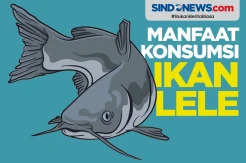 Luar Biasa, Ikan Lele Berkhasiat Menjaga Kesehatan Jantung