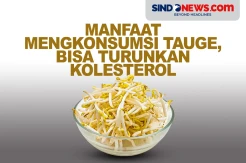 Manfaat Tauge untuk Kesehatan, Salah satunya Turunkan Kolesterol